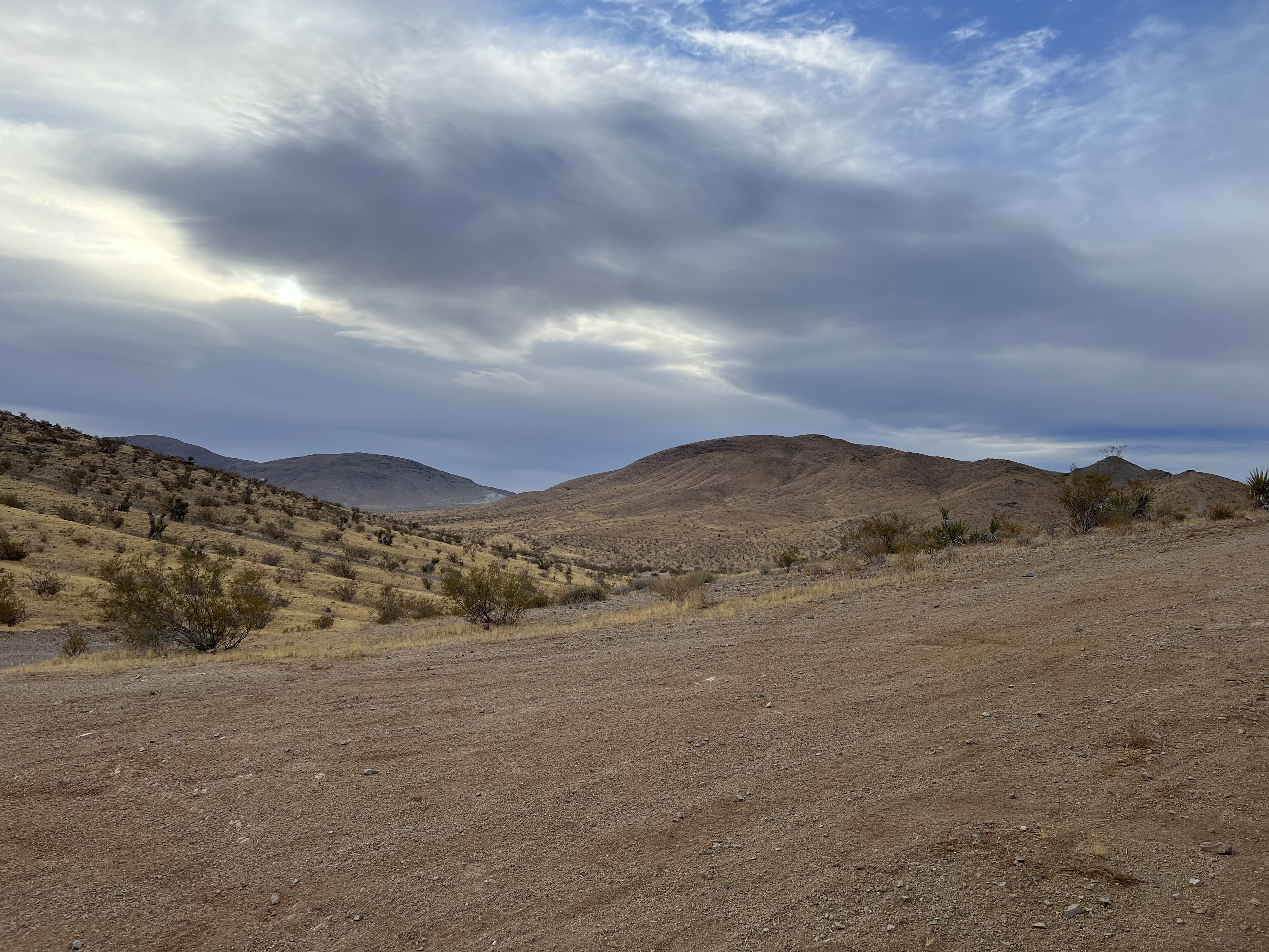 Desert landscape