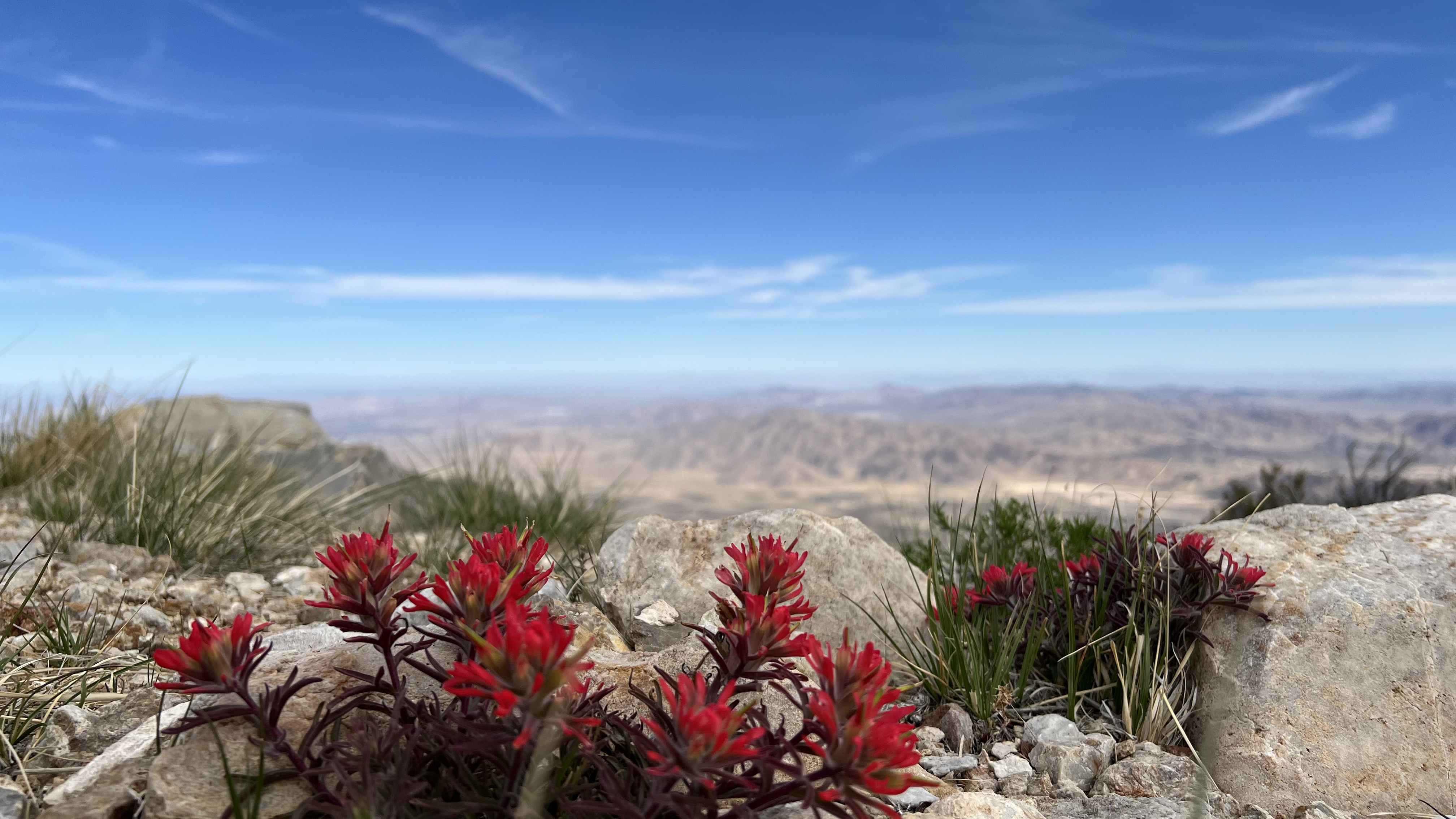 Alpine mountain